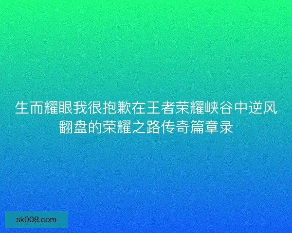 生而耀眼我很抱歉在王者荣耀峡谷中逆风翻盘的荣耀之路传奇篇章录