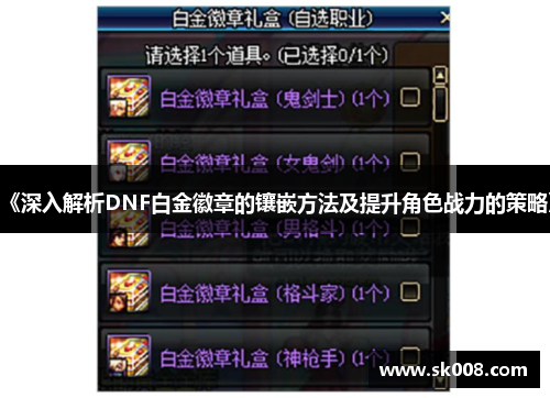 《深入解析DNF白金徽章的镶嵌方法及提升角色战力的策略》
